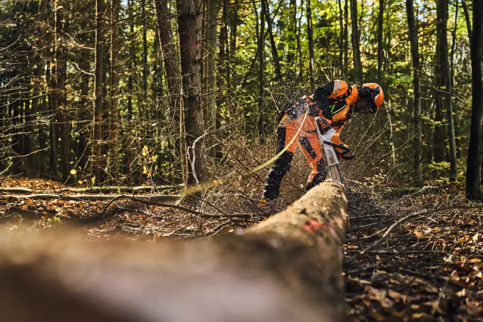 Tronçonneuse sur batterie STIHL MSA 260 C-O