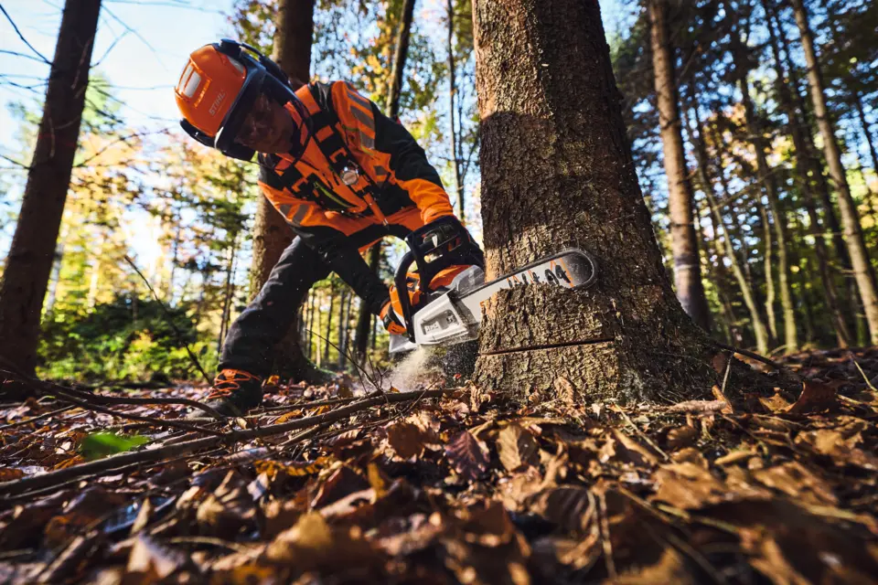 Tronçonneuse sur batterie STIHL MSA 260 C-O