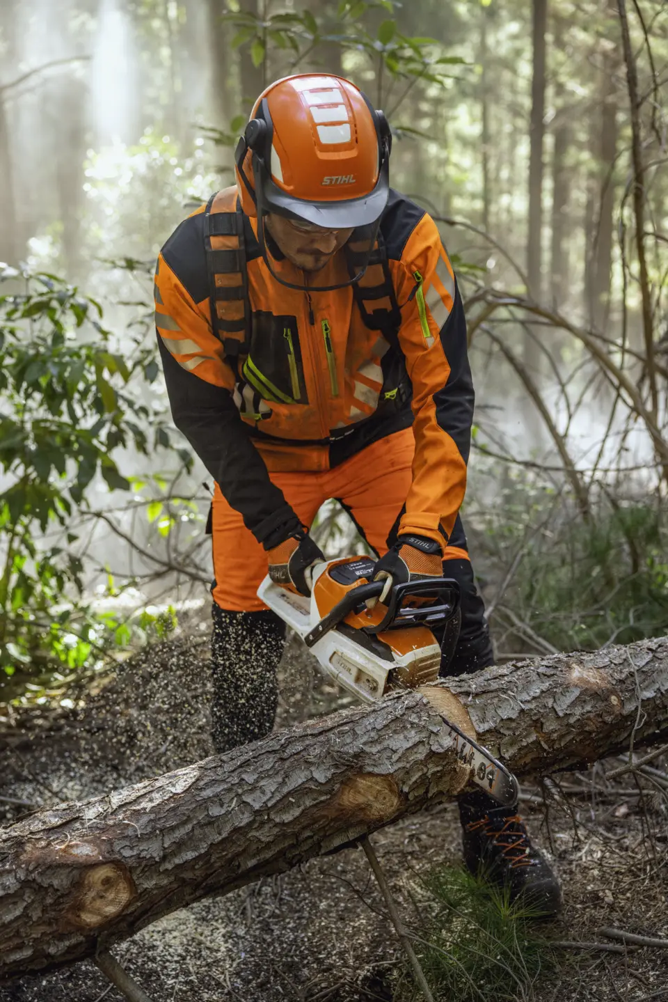 Tronçonneuse sur batterie STIHL MSA 260 C-O