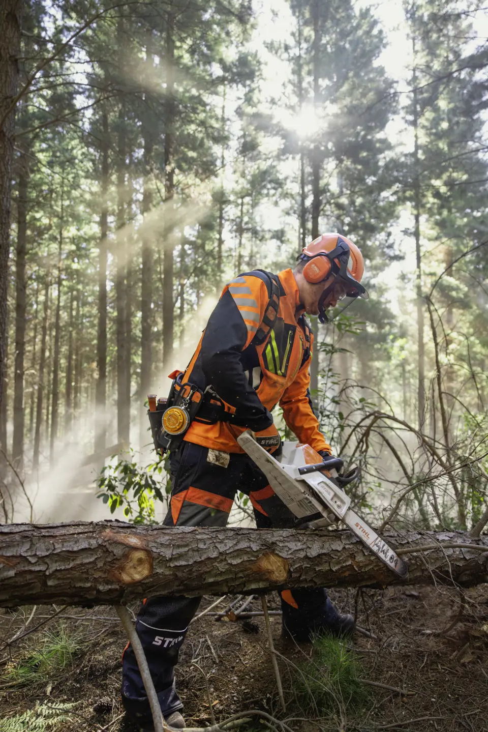 Tronçonneuse sur batterie STIHL MSA 260 C-O