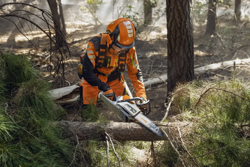 Tronçonneuse sur batterie STIHL MSA 260 C-O