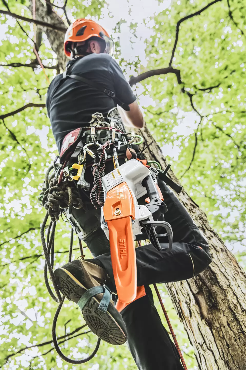 stihl equipment