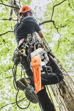 stihl equipment